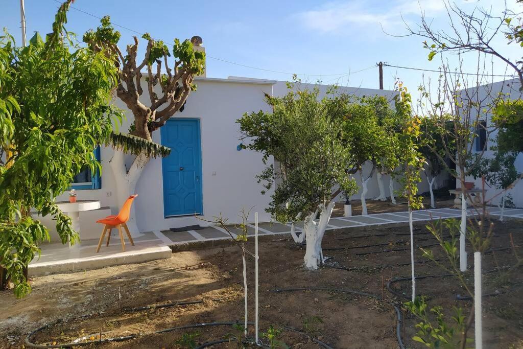 דירות Agkidia Perivoli 4-Chora מראה חיצוני תמונה