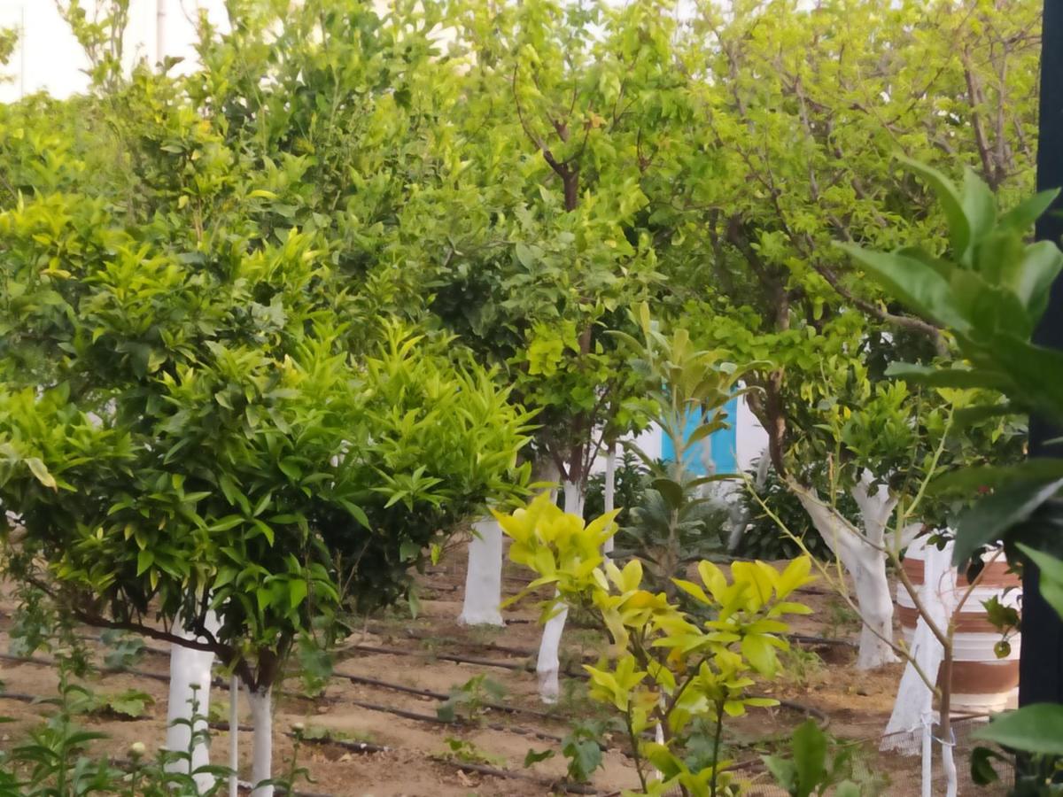 דירות Agkidia Perivoli 4-Chora מראה חיצוני תמונה